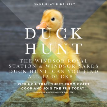 Discover... the Windsor Yards & Windsor Royal Station Duck Hunt
